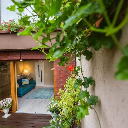 V 게스트하우스