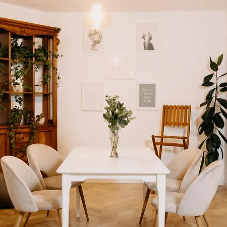 V 게스트하우스 브라쇼브